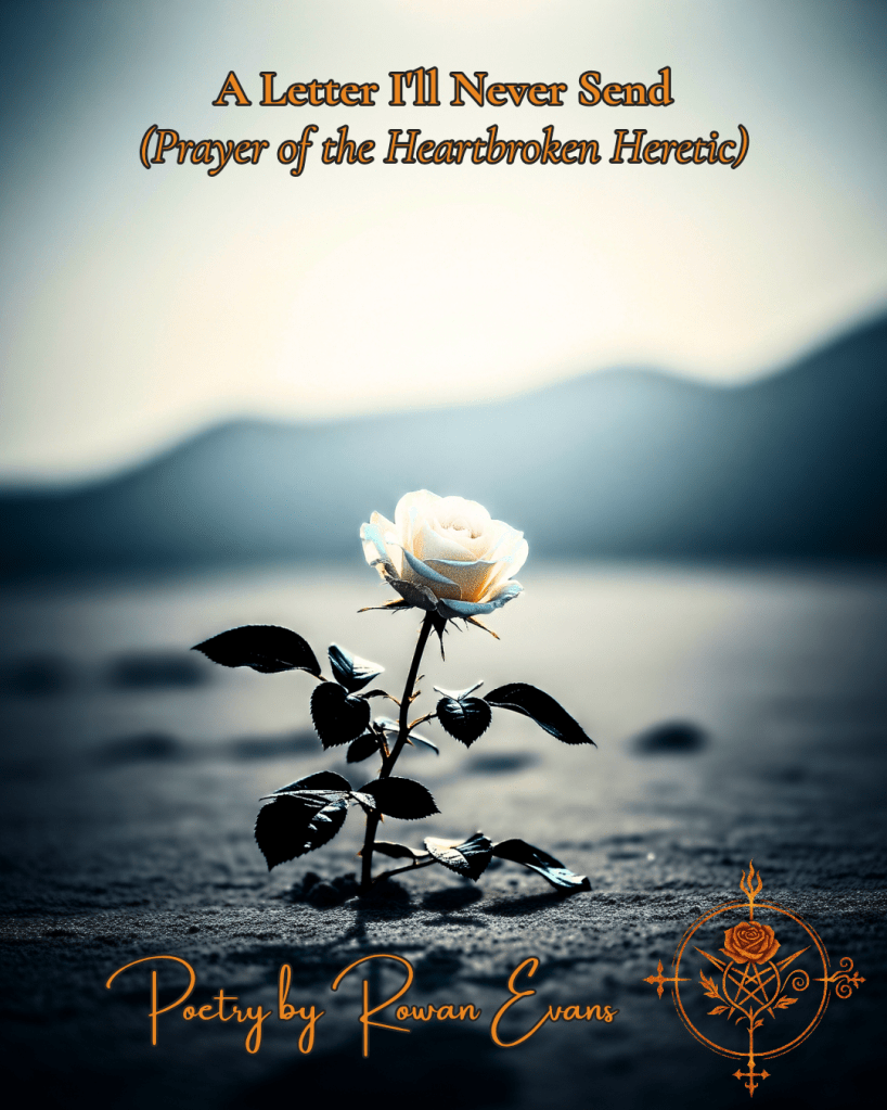 A white rose bloomed in a harsh environment. "A Letter I'll Never Send" by Trans Poetess, Rowan Evans.