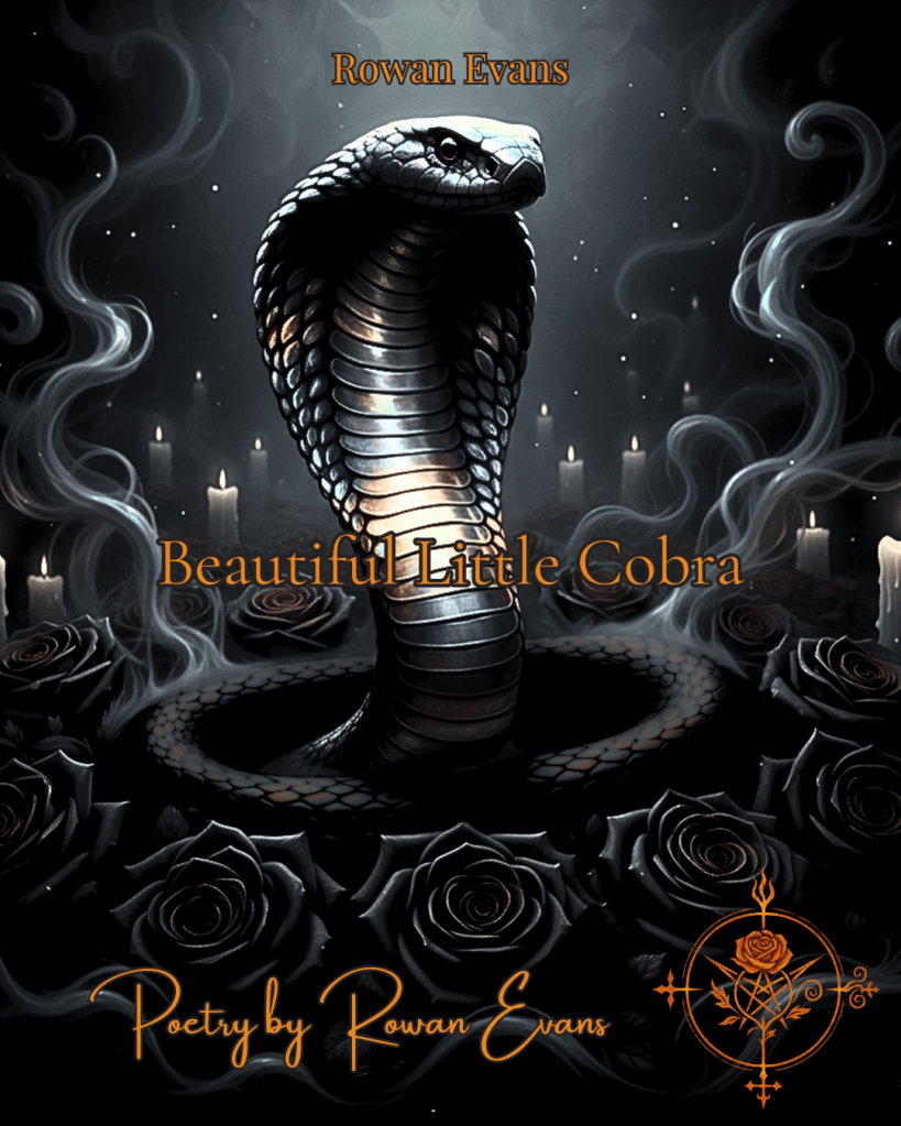 Illustration of a cobra rising from black roses, symbolizing beauty, danger, and defiance.