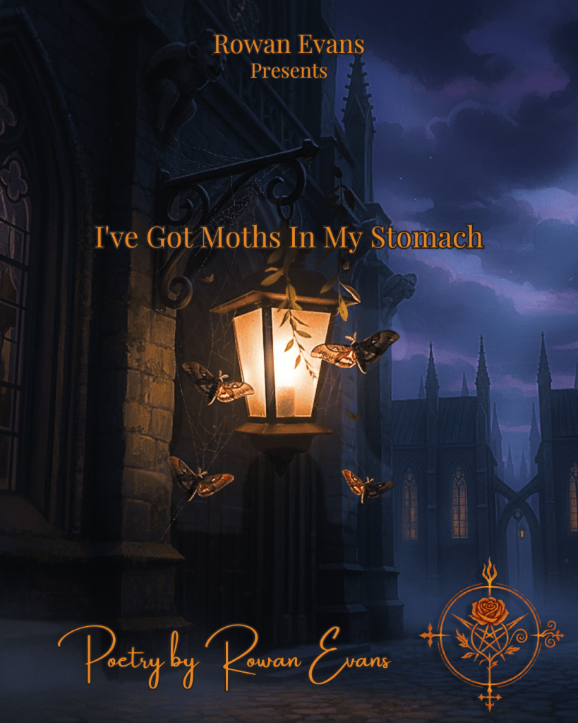 Moths fluttering around a glowing lantern at twilight in a dark, moody setting.